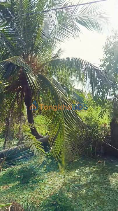 Đất nền Bình Ninh Chợ Gạo 2200m² 1.3 tỷ - Sổ đỏ chính chủ