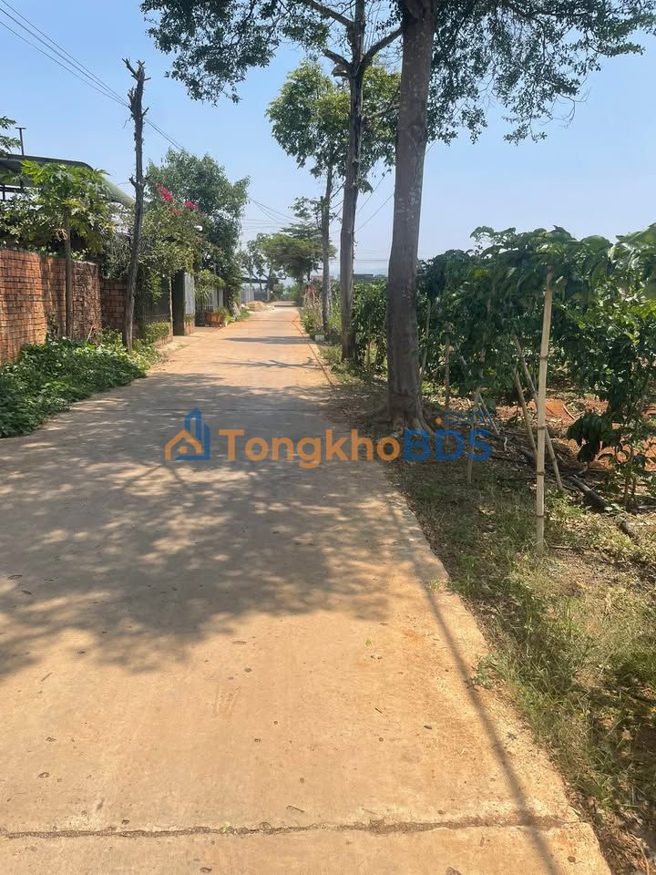 Nhà riêng Thanh Bình Đà Lạt 690m² 4.2 tỷ - Chính chủ bán