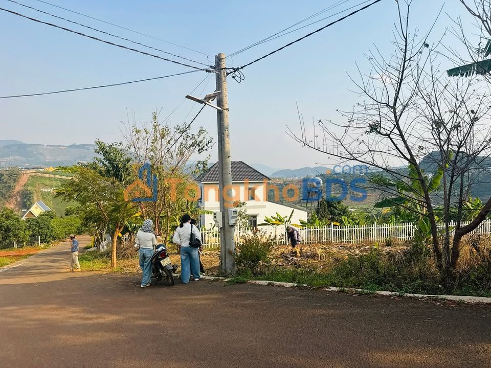 Đất nền Homestay View Triệu Mây Đà Lạt 517m² 2,2 tỷ – Sổ đỏ chính chủ