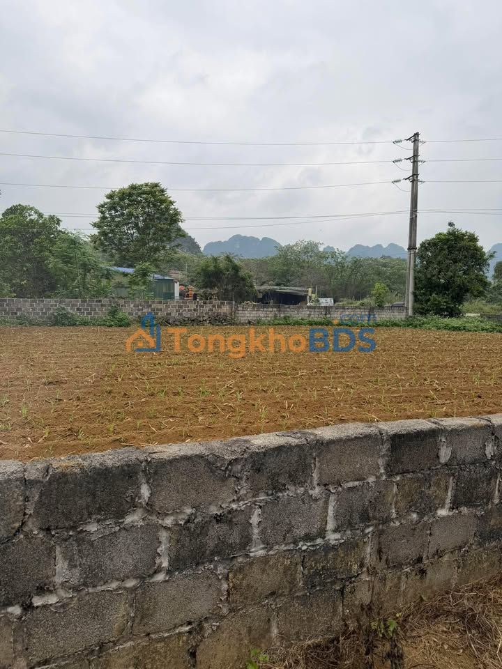 Đất nền Phú Thành Lạc Thủy 600m² giá thỏa thuận - Đường to ô tô