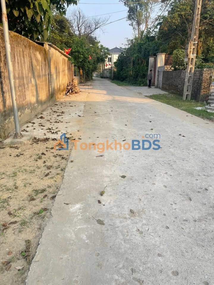 Đất nền Đường 535 Phúc Thọ 293m² 3.516 tỷ Sổ đỏ chính chủ