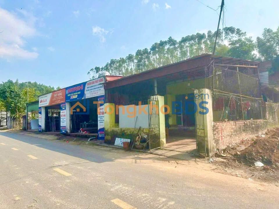 Đất nền Tam Quan Tam Đảo 104m² 1,3 tỷ - Đường ô tô kinh doanh