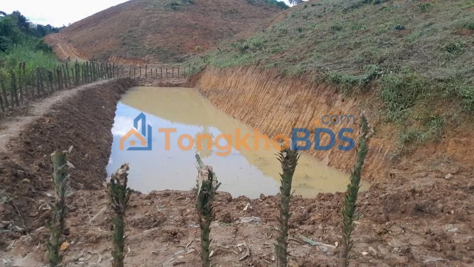 Đất nền Lộc Bảo 1.800m² 699 triệu - Sổ đỏ chính chủ