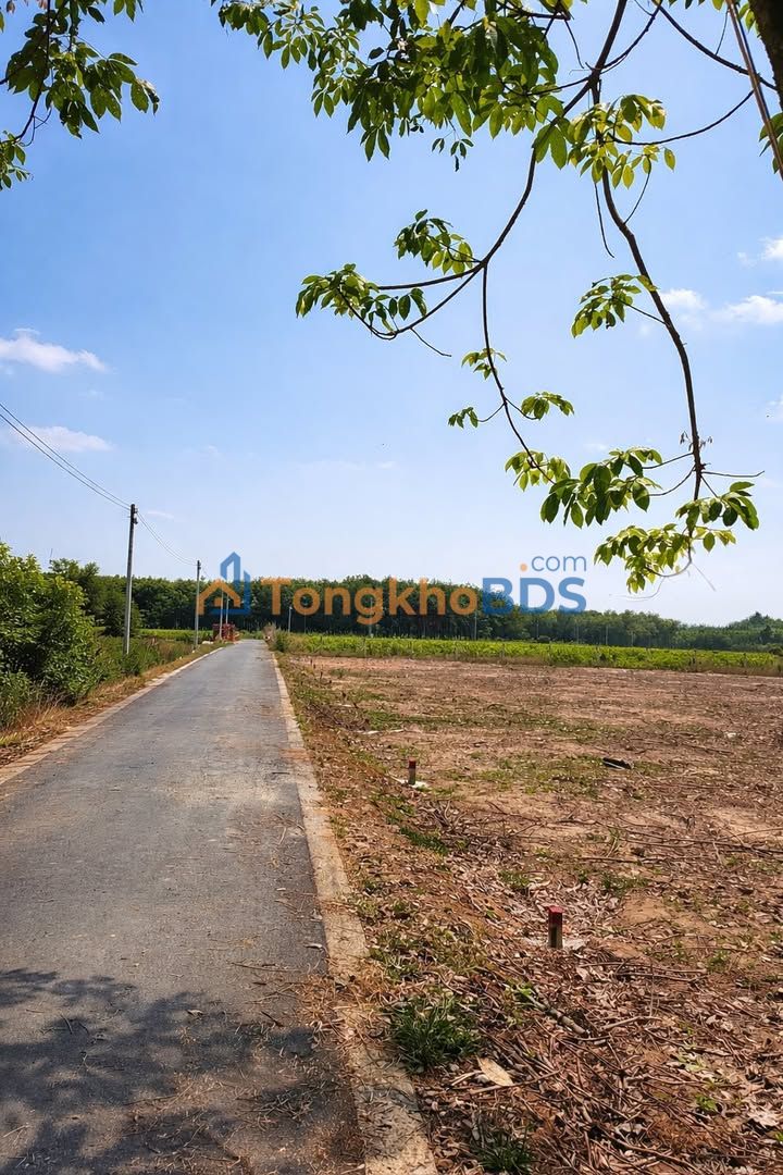 Đất nền Dầu Tiếng 385m² giá 400 triệu - Sổ đỏ chính chủ