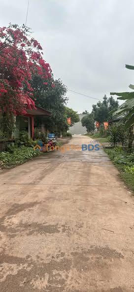 Đất An Dương Tân Yên 100m² hơn 1 tỷ - Tiềm năng tăng giá