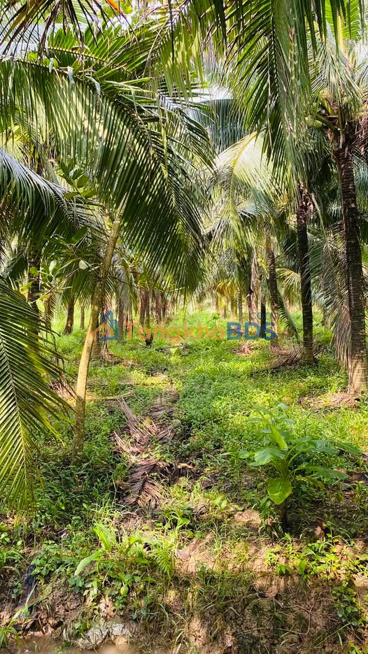 Đất nền Tam Phước Châu Thành 2.000m² 1.5 tỷ - Sổ đỏ chính chủ