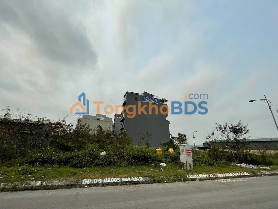 Đất nền Cao Xanh Hạ Long 81m² 5 tỷ - Sổ đỏ chính chủ