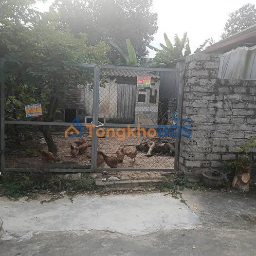 Đất Xuân Khánh Vĩnh Yên 208m² 1 tỷ - Đường ô tô vào