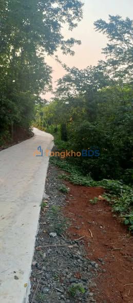 Đất nền Ea Tam Buôn Ma Thuột 1.2ha/15 tỷ - Sổ đỏ chính chủ