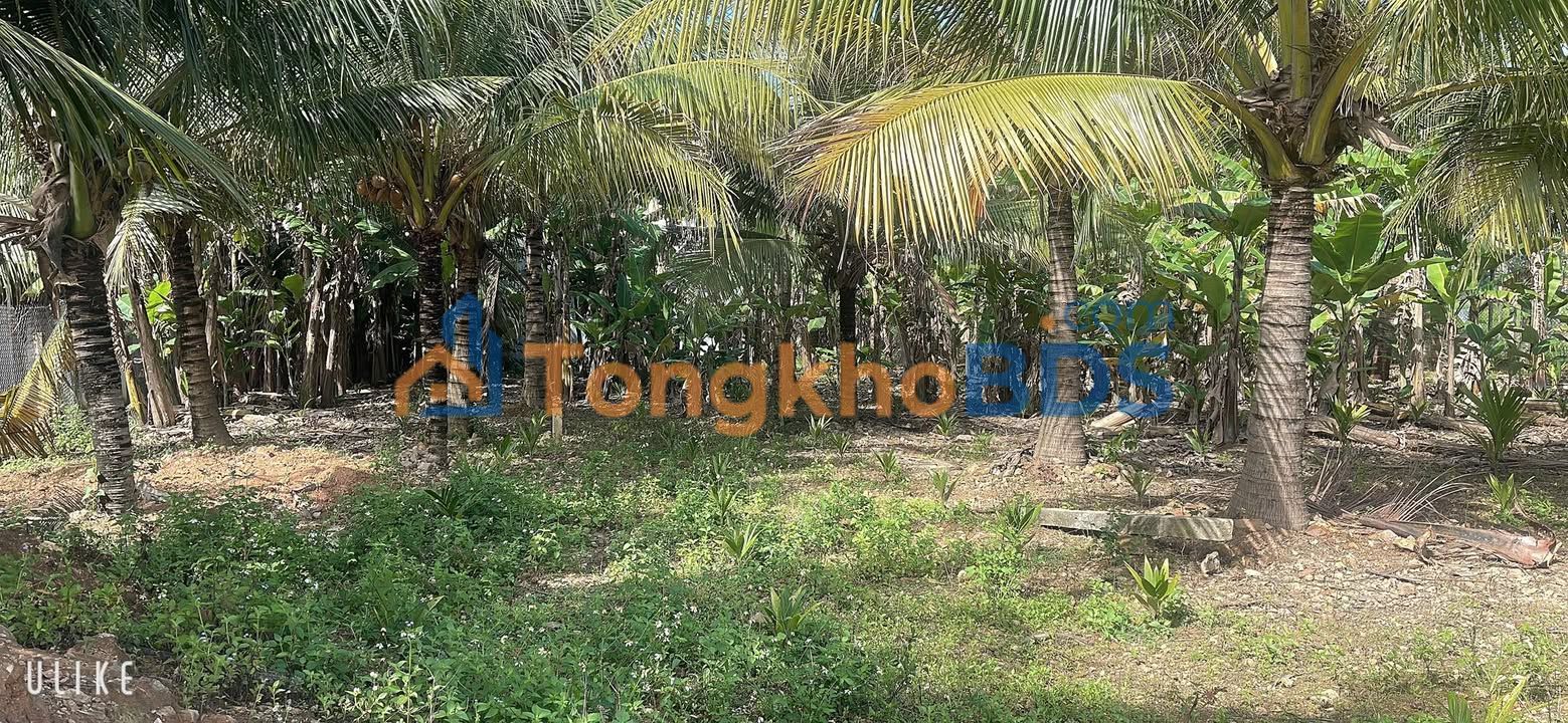 Đất xã Tịnh Khê Quảng Ngãi 366m² - Tiềm năng tăng giá