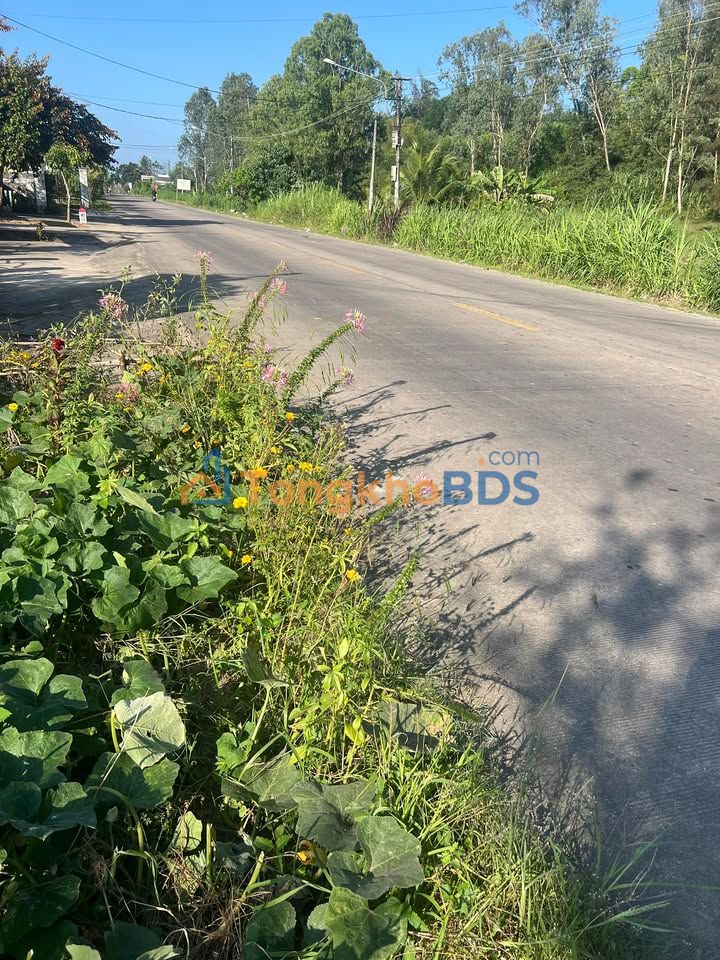 Đất nền Quảng Ngãi 100m² giá 1.1 tỷ - Tiềm năng tăng giá