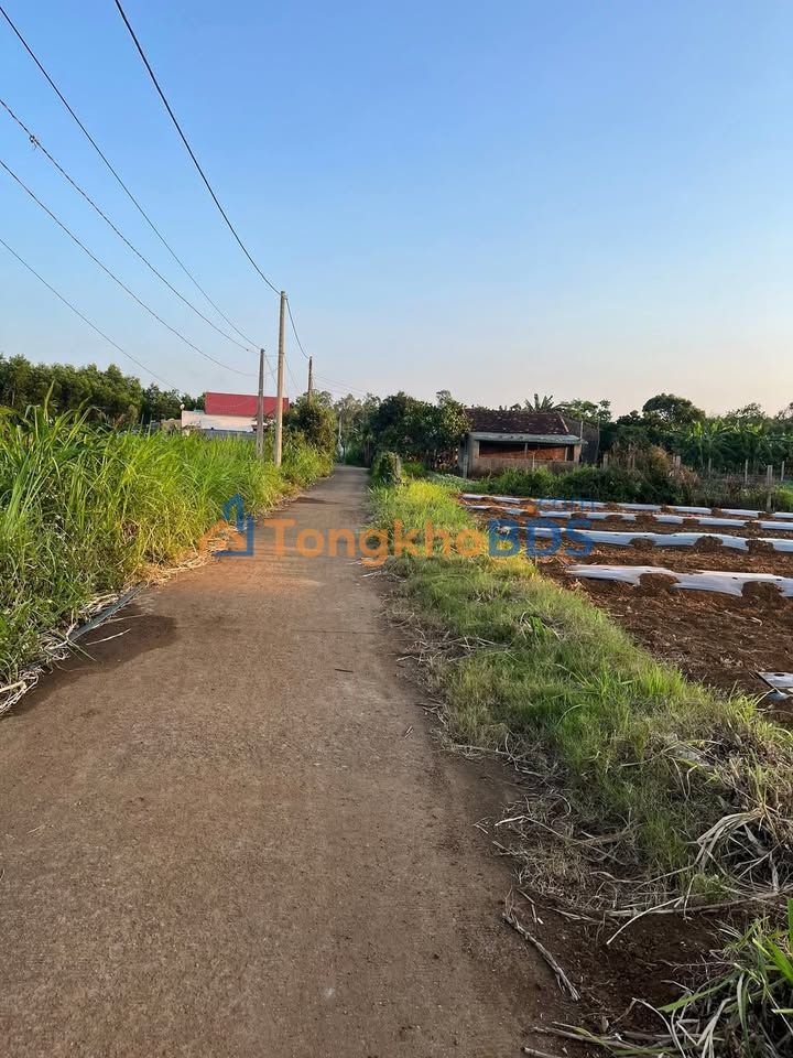 Đất nền Bình Hòa Bình Sơn 210m² 300tr - Sổ đỏ