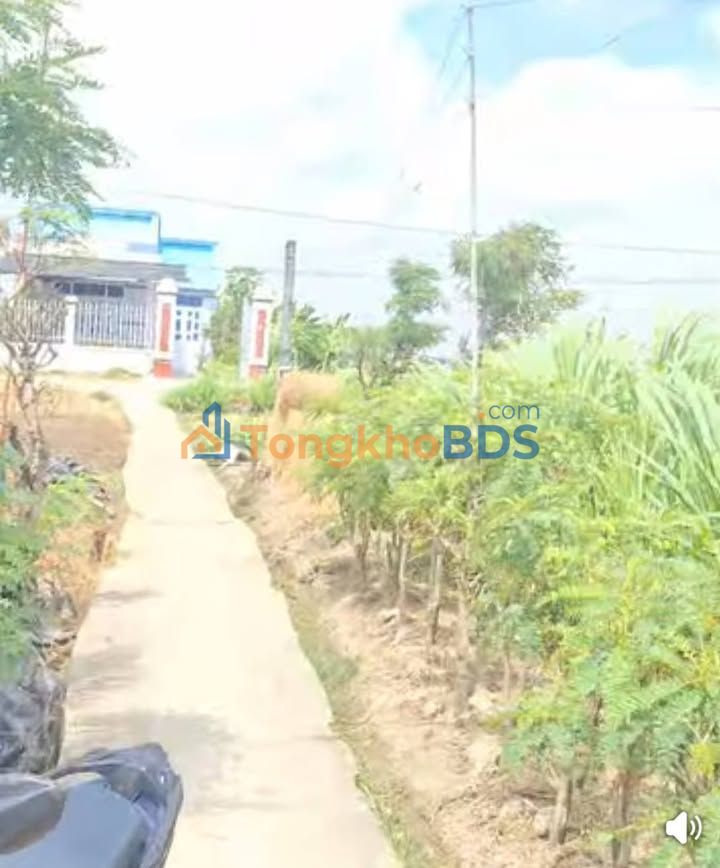 Đất nền Tân Đông Gò Công Đông 1142m² 520 triệu - Tiềm năng tăng giá