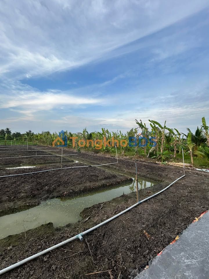 Đất Ấp 3 Tam Hiệp 2.700m² 1.35 tỷ - Sổ đỏ chính chủ