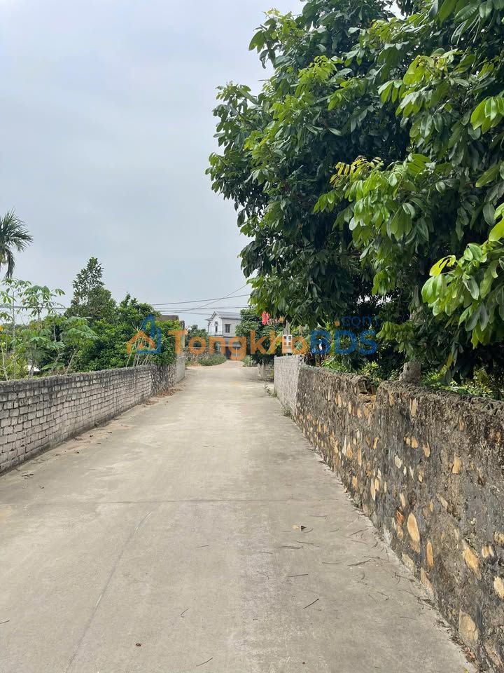 Đất nền Lan Mẫu 100m² 9xx triệu - Đường ô tô tránh