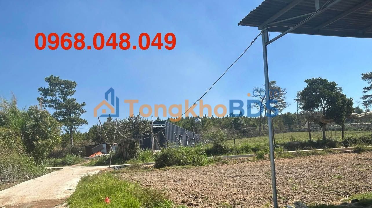 Đất nền Quảng Lập Đơn Dương 344m² 400 triệu - Sổ đỏ chính chủ