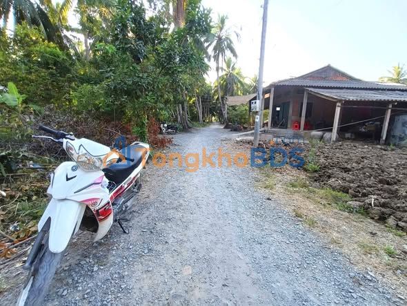 Đất nền Bình Ninh Chợ Gạo 193m² giá 280 triệu - Sổ đỏ chính chủ