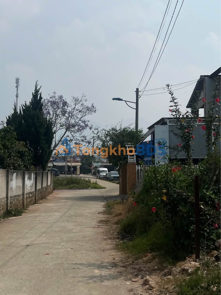 Đất nền Tố Hữu P7 Đà Lạt 98m2 giá 3,002 tỷ - Sổ đỏ chính chủ