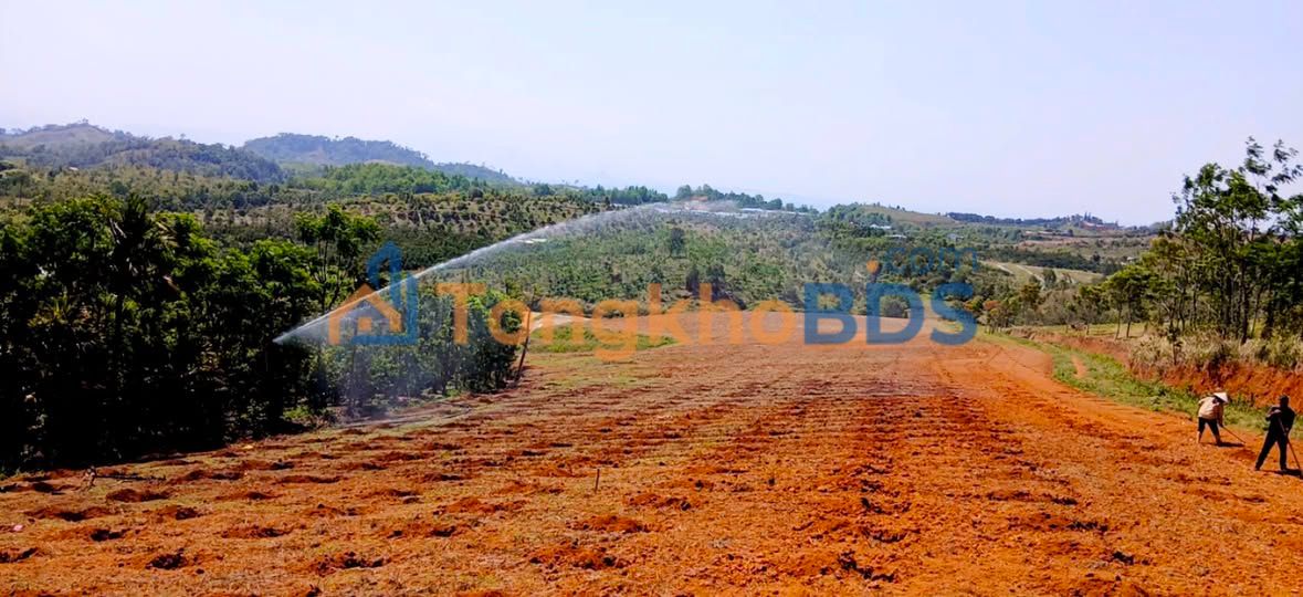 Đất nền Gia Nghĩa 1,9ha 4 tỷ - Đường to ô tô