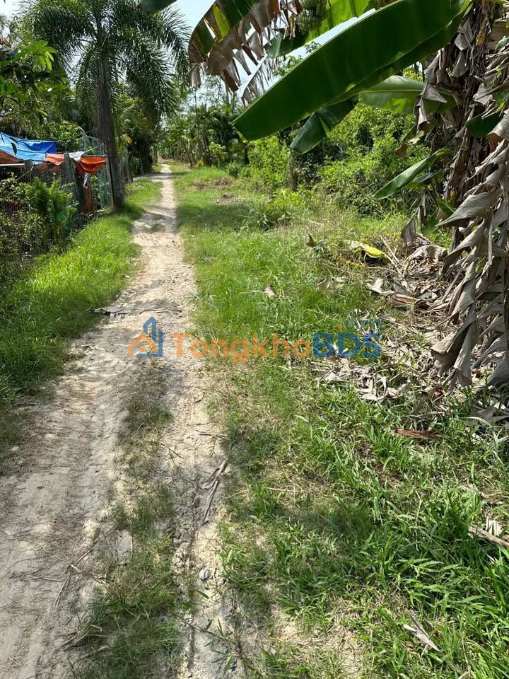 Đất Phường Phước Hậu Vĩnh Long 187m² 800tr - Sổ đỏ chính chủ