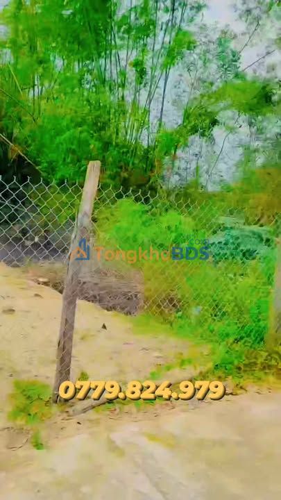 Đất nền Điện Ngọc Điện Bàn 100m² giá 2,55 tỷ - Sổ đỏ chính chủ