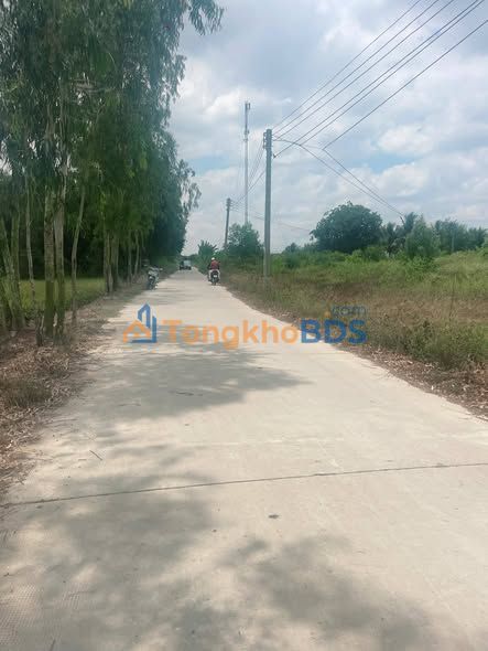 Farm Trần Đề HL95 4,3 công 1,935 tỷ - Sổ đỏ chính chủ