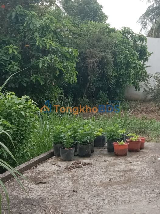 Đất mặt tiền H90B Mỹ Phong 110m² 1 tỷ - Đường ô tô vào