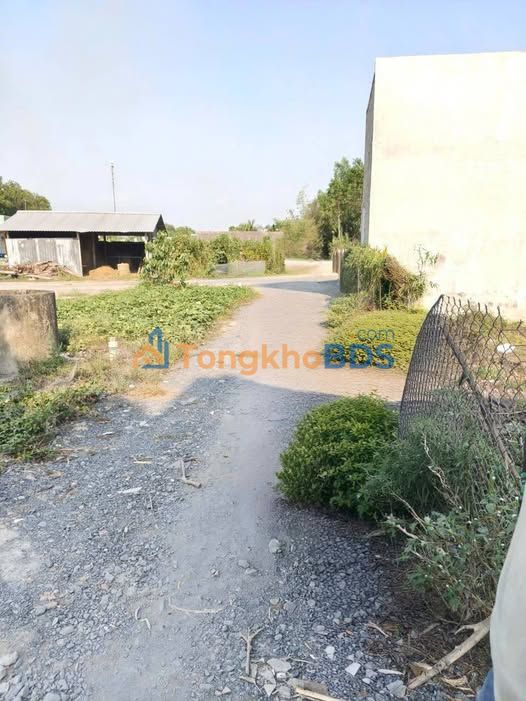 Đất nền Đức Hòa Thượng 70m² 550 triệu - Sổ đỏ chính chủ
