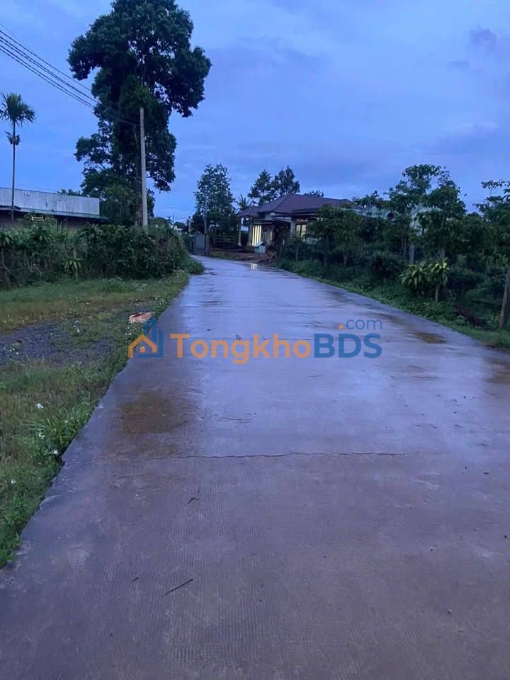 Đất nền Lộc Tân 1.565m² 2.55 tỷ - Sổ đỏ chính chủ