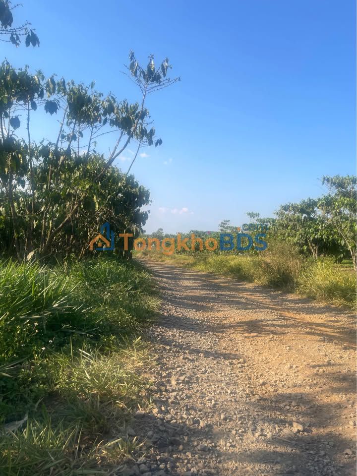 Đất vườn Lộc Ngãi 2.700m² 4.5 tỷ - Hạ tầng hoàn thiện