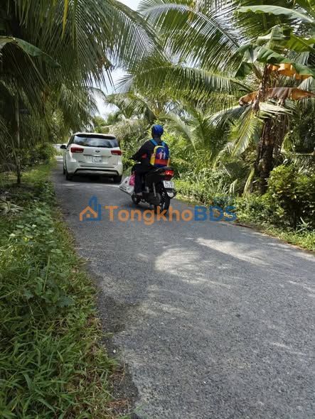 Đất nền Long Phước Long Hồ 216m² 850 triệu - Đường ôtô vào