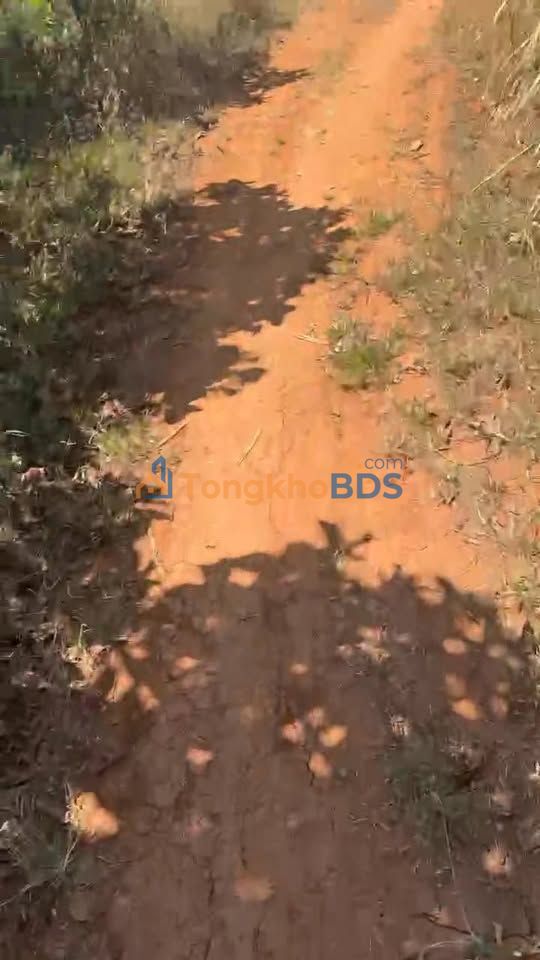 Đất vườn Ea H'Leo 6ha 25 tỷ – Sinh thái xanh lý tưởng