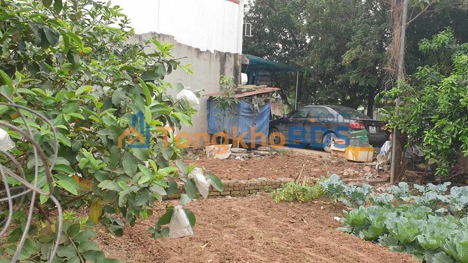 Đất Yên Nghĩa Hà Đông 45m² - Sổ đỏ chính chủ, ô tô đỗ