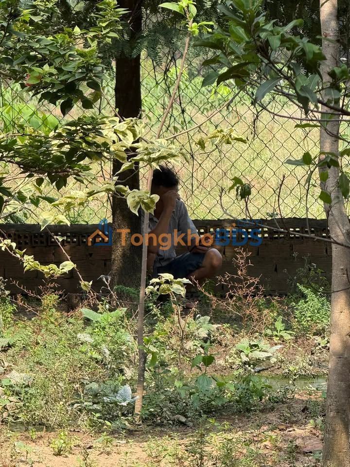 Nhà Khu phố 2 Tân Định 5x17 giá 1 tỷ - Giá tốt hiếm có