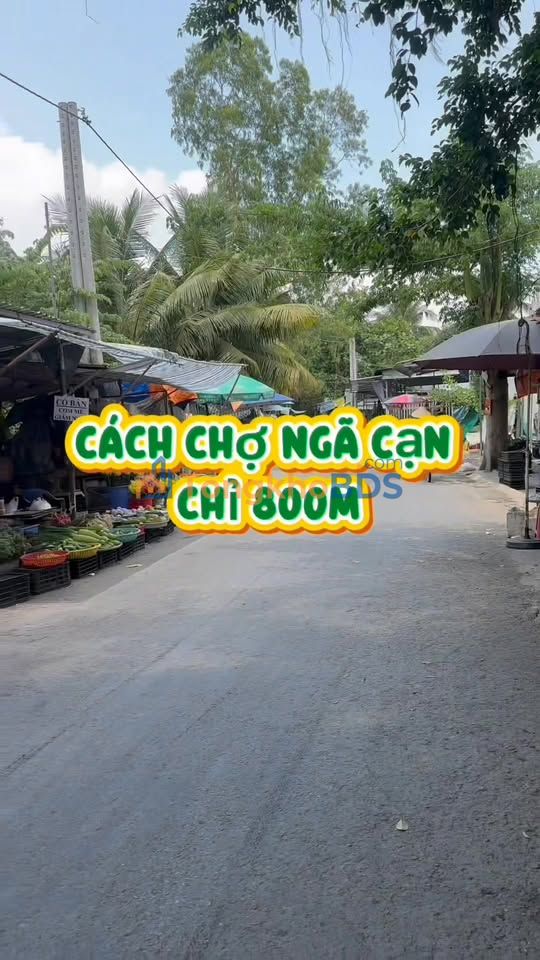 Đất nền Tân Bình Vĩnh Long 100m² 480 triệu - Sổ hồng sẵn