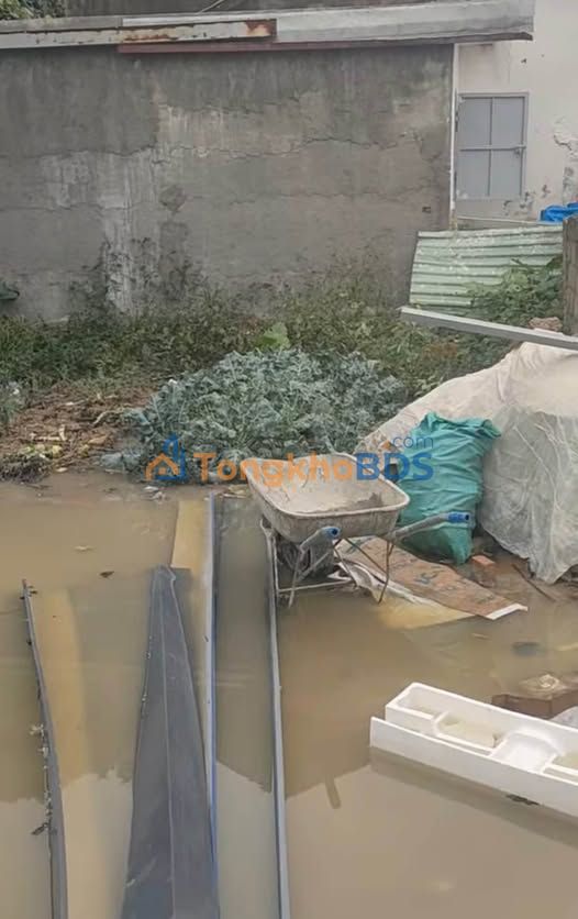 Đất Lương Quy An Hải 63m² giá 1,3 tỷ - Sổ đỏ chính chủ