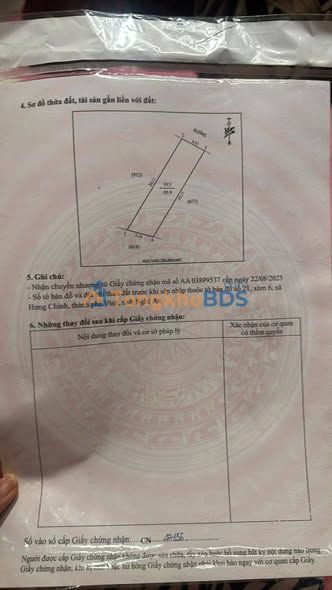 Đất nền Vinh Hưng Chính 96m² 2.3 tỷ - Tiềm năng tăng giá