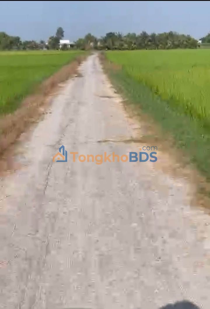 Đất lúa Đức Lập Hạ 1.761m² 2,5 tỷ - Sổ hồng sẵn