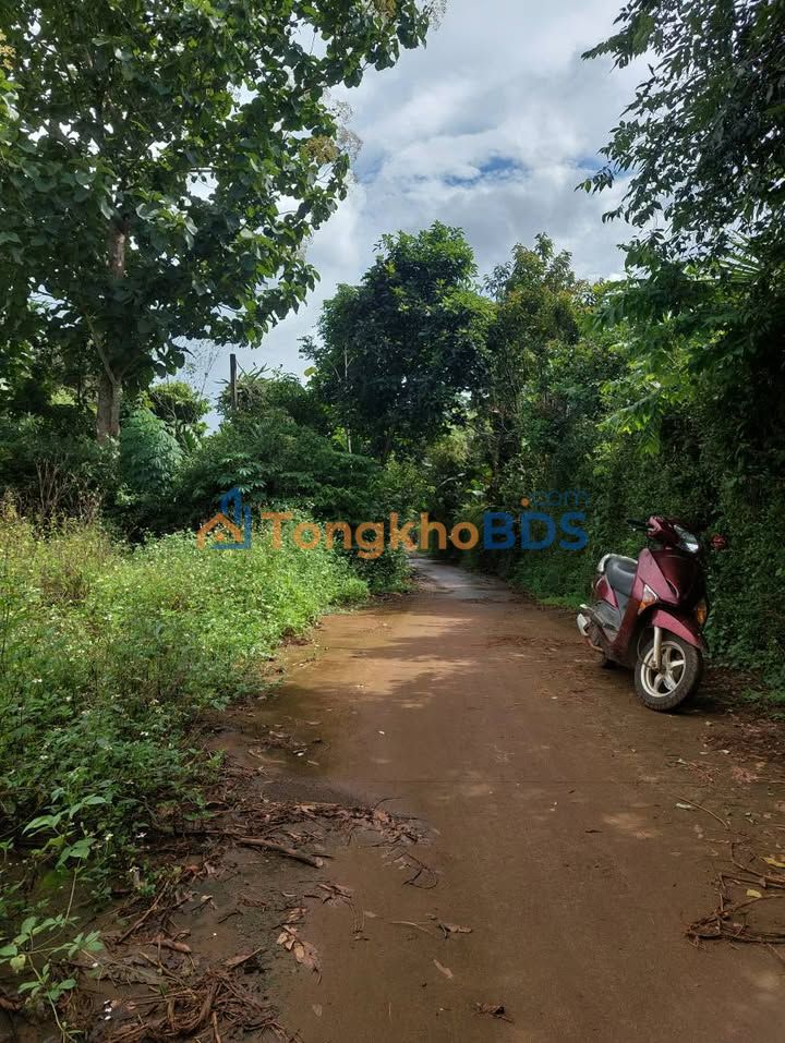 Đất nền Cư ÊBur Buôn Ma Thuột 325m² 450 triệu - Giá tốt