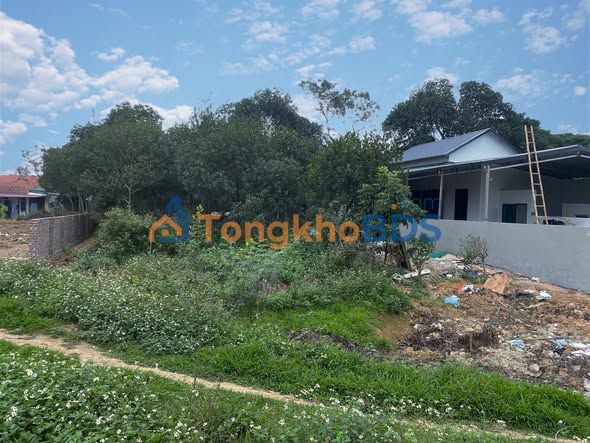 Đất nền Tiên Phong Ba Vì 300m² 1.3 tỷ - Đường to ô tô