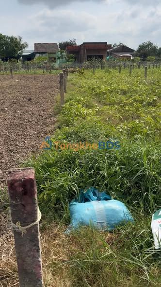 Đất thổ cư Mỹ Thạnh Thủ Thừa 115m² 360tr - Sổ đỏ chính chủ