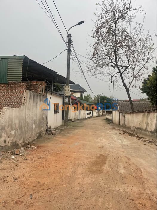 Đất thổ cư Thôn Đình Tam Dương 97m² 1 tỷ - Sổ đỏ chính chủ