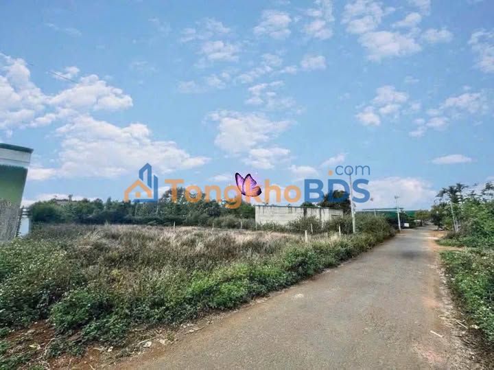 Đất nền D2 Tân An 180m² 1.68 tỷ - Sổ đỏ chính chủ