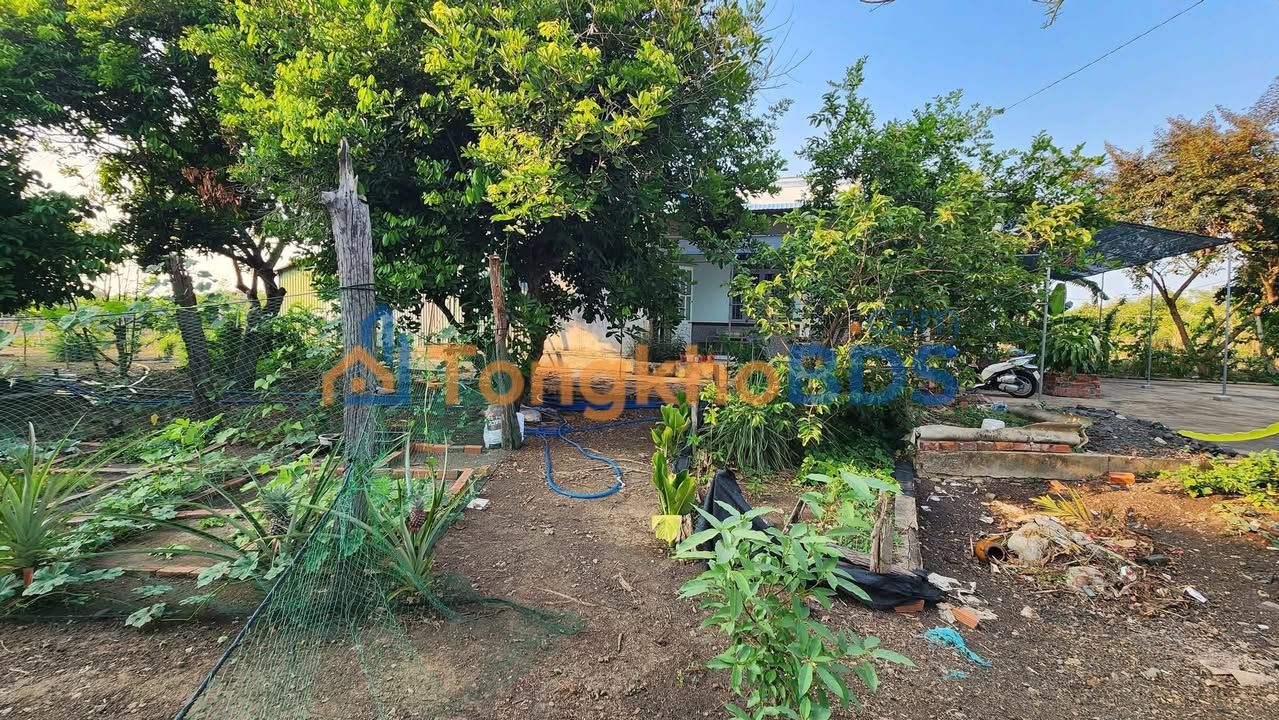 Đất vườn Thiện Tân Vĩnh Cửu 1.15 tỷ 1.180m² - Sinh thái xanh