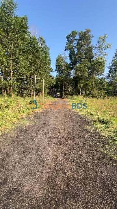 Đất Long Phước Long Thành 900 triệu - Sổ đỏ chính chủ