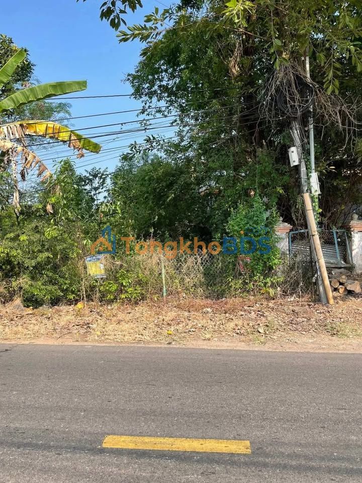 Đất nền Suối Mơ Tân Phú 228m² 1.25 tỷ - Sổ hồng chính chủ