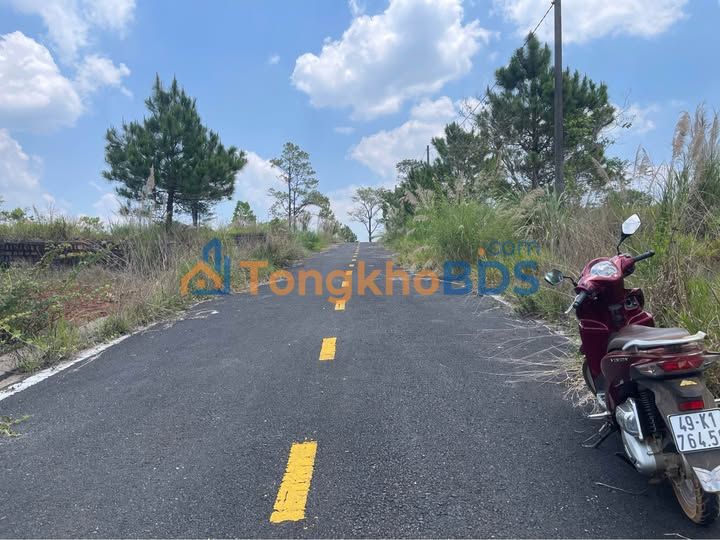 Đất nền Phường 2 Bảo Lộc 600m² 800 triệu - Giá đầu tư tốt