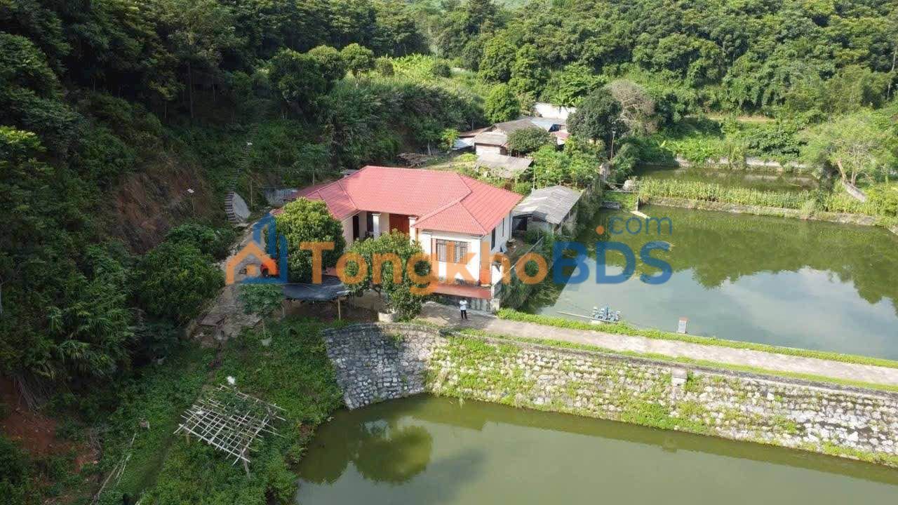 Trang trại Phong Hải 8ha thỏa thuận - Sinh thái xanh