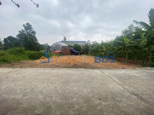 Đất ở Khương Mỹ Thanh Xuân 120m² - Đường nhựa lớn ô tô