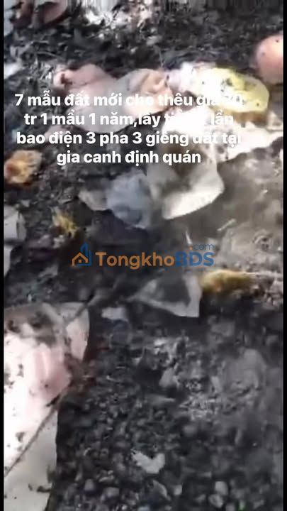 Đất vườn Gia Canh 70.000m² 490 triệu - Đầu tư dài hạn